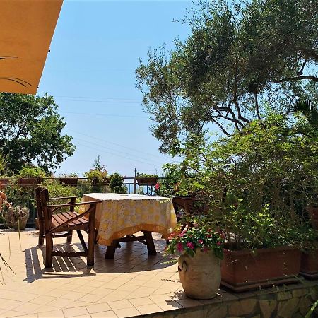 B&B Dei Fiori Praia a Mare Zewnętrze zdjęcie