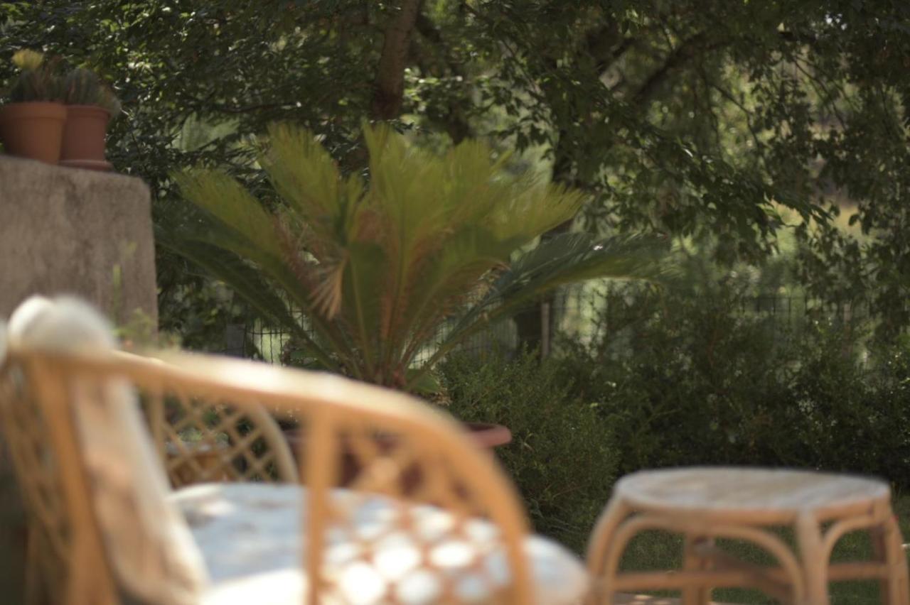 B&B Dei Fiori Praia a Mare Zewnętrze zdjęcie