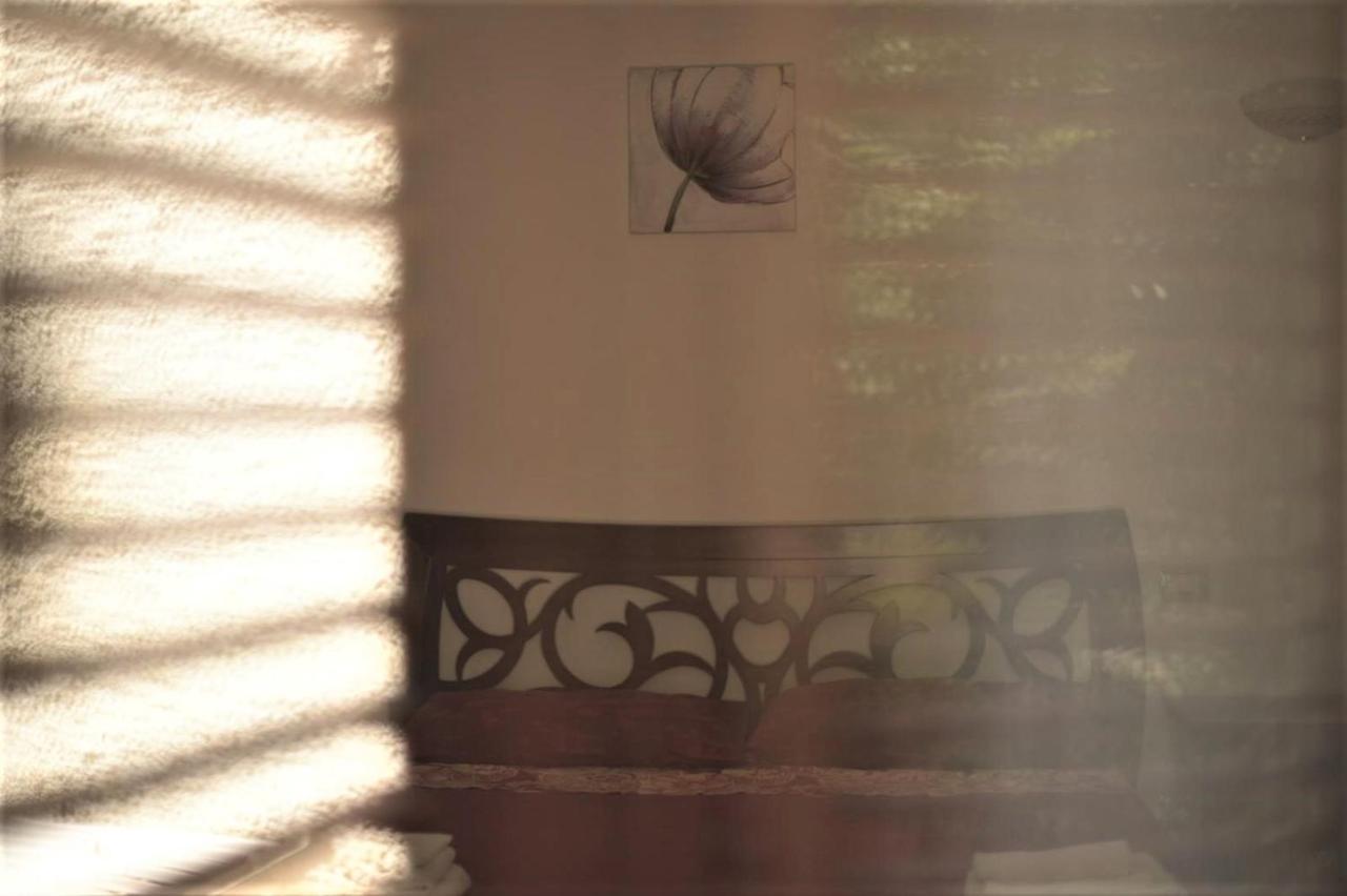 B&B Dei Fiori Praia a Mare Zewnętrze zdjęcie