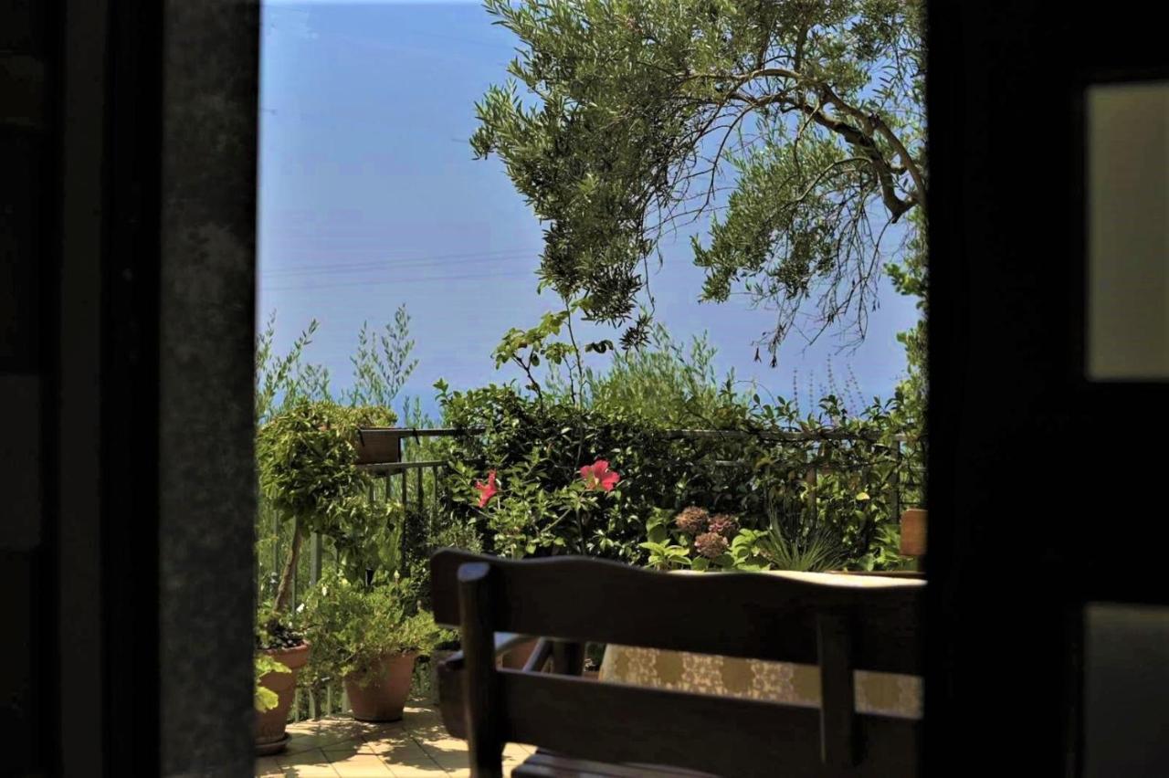 B&B Dei Fiori Praia a Mare Zewnętrze zdjęcie