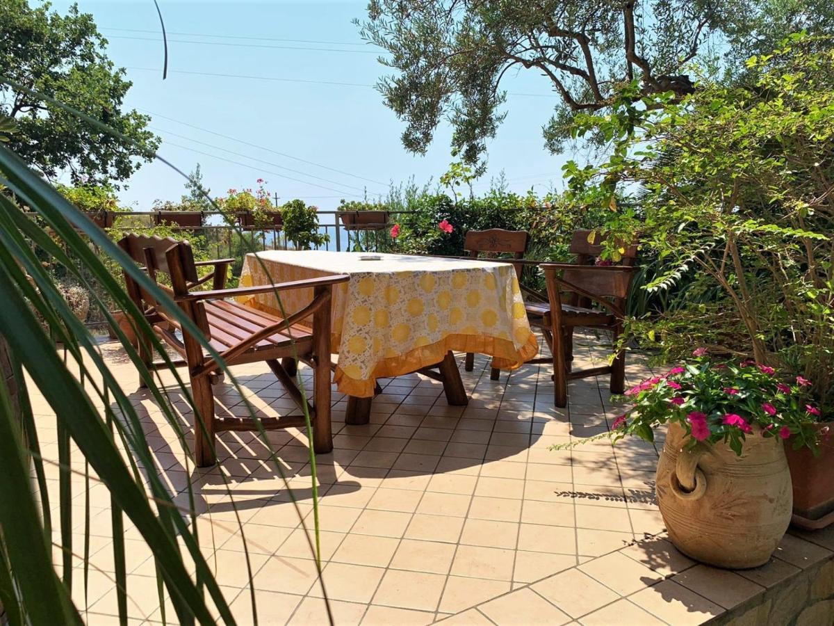 B&B Dei Fiori Praia a Mare Zewnętrze zdjęcie
