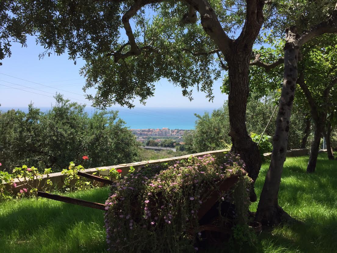 B&B Dei Fiori Praia a Mare Zewnętrze zdjęcie