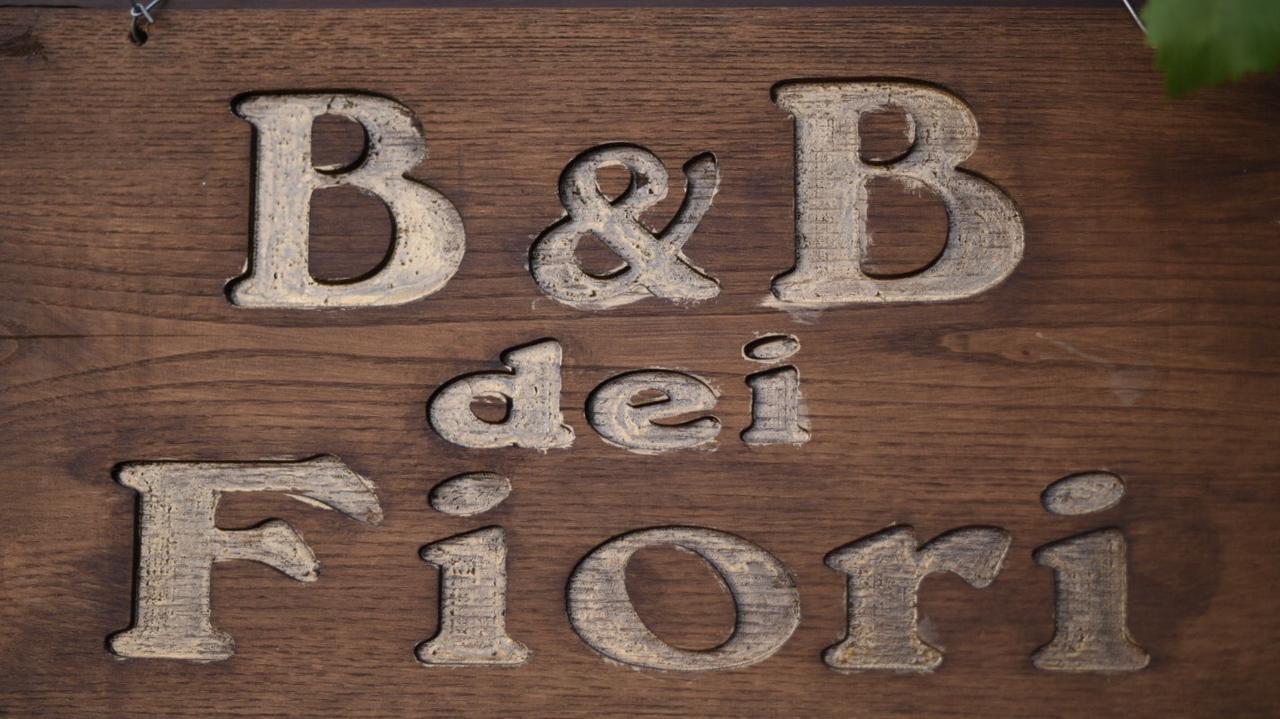 B&B Dei Fiori Praia a Mare Zewnętrze zdjęcie